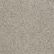 Majority Rules in Leisurely - Carpet by Shaw Flooring