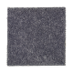 True Elegance II in Charcolette - Carpet by Mohawk Flooring