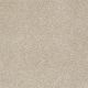 Our Delight I 15' in Fresco - Carpet by Shaw Flooring