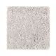 Emerging Image III in Tin Foil - Carpet by Mohawk Flooring