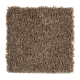 Rare Details in November Foliage - Carpet by Mohawk Flooring