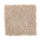 Premier Look in Golden Satin - Carpet by Mohawk Flooring