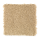 Truly Tender III in Kindling - Carpet by Mohawk Flooring
