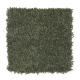 Truly Tender III in Pine Needle - Carpet by Mohawk Flooring