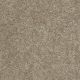 Extraordinary Touch I in Georgetown - Carpet by Shaw Flooring