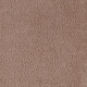 Salsa in Chaps - Carpet by Mohawk Flooring