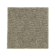 Distinctive Nature in Pine Needle - Carpet by Mohawk Flooring
