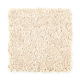 Brilliant Design in Paper Moon - Carpet by Mohawk Flooring