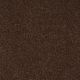Secret Escape III 12 in Raisin - Carpet by Shaw Flooring