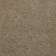 Whisper in Ecru - Carpet by Lexmark Carpet