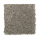 Truly Tender III in Crushed Gravel - Carpet by Mohawk Flooring