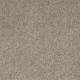 Cashmere III in Columbia - Carpet by Shaw Flooring