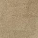 Key West in Sea Urchin - Carpet by Masland Carpets