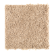 Witty Charm in Honeysuckle - Carpet by Mohawk Flooring