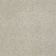Majority Rules in Linen - Carpet by Shaw Flooring