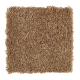 Beautiful Addition in Pottery - Carpet by Mohawk Flooring