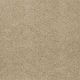 Roadside in Ermine Fur - Carpet by Shaw Flooring
