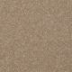 Harborfields I 15' in Muffin - Carpet by Shaw Flooring