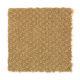 Unification in Sunrise - Carpet by Mohawk Flooring