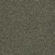 Bright Idea III in Olive Yard - Carpet by Shaw Flooring
