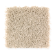 Creative Charm in Masonry - Carpet by Mohawk Flooring