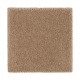 Absolute Elegance II in Glazed Ginger - Carpet by Mohawk Flooring