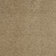 Flora in Toast Tan - Carpet by Shaw Flooring