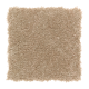 Sensible Style III in Spiced Tea - Carpet by Mohawk Flooring
