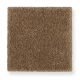 Pure Satisfaction in Nature Trail - Carpet by Mohawk Flooring