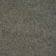 Gold Twist in Venice Pier - Carpet by Shaw Flooring