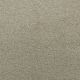 Whisper in Peace - Carpet by Lexmark Carpet