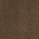 Flora in Vintage Brown - Carpet by Shaw Flooring