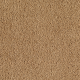 Wish Come True in Golden Charm - Carpet by Mohawk Flooring