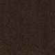 Bright Spirit I 12 in Coffee Bean - Carpet by Shaw Flooring