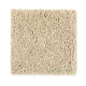 Simply Soft III in Glazed Wood - Carpet by Mohawk Flooring