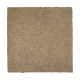 Nature's Appeal II in Spiced Tea - Carpet by Mohawk Flooring