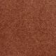 Roadside in Spice - Carpet by Shaw Flooring