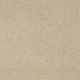 Cashmere III in Yearling - Carpet by Shaw Flooring