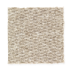 Living Space in Soft Leather - Carpet by Mohawk Flooring