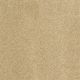 Luxury Appeal IV 15' in Honey - Carpet by Shaw Flooring