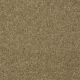 Different Times I 15 in Celery - Carpet by Shaw Flooring