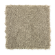Seaboard in Ostrich - Carpet by Mohawk Flooring