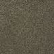 Murphy in Resonant - Carpet by Shaw Flooring