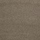 Cashmere Classic I in Mesquite - Carpet by Shaw Flooring
