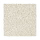 Inviting Charisma in Balsam Beige - Carpet by Mohawk Flooring