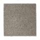 Calming Promise in Urban Putty - Carpet by Mohawk Flooring