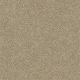 Find Your Comfort Ns I in Honey Tea (s) - Carpet by Shaw Flooring