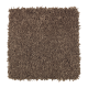Soft Moment I in Rustic Beam - Carpet by Mohawk Flooring