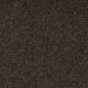 Bright Spirit I 12 in Tundra - Carpet by Shaw Flooring