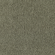 Wish Come True in Comfy Nature - Carpet by Mohawk Flooring